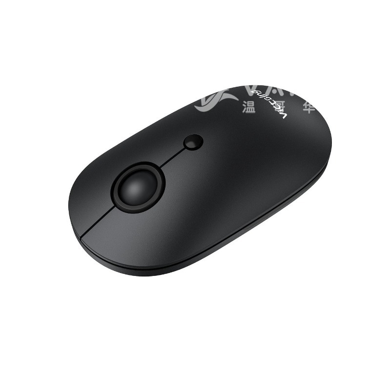 240415102614_Victsing Mouse.jpg